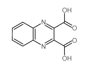 2,3-Quinoxalinedicarboxylicacid结构式