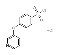 4-(3-吡啶氧基)苯磺酰氯盐酸盐结构式