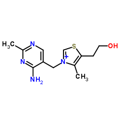 维生素b1结构式