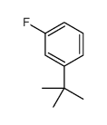 1-tert-butyl-3-fluorobenzene结构式