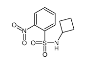 N-cyclobutyl-2-nitrobenzenesulfonamide结构式