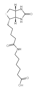 72040-64-3结构式
