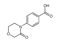 4-(3-氧代吗啉)苯甲酸结构式