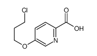 5-(3-chloropropoxy)pyridine-2-carboxylic acid结构式