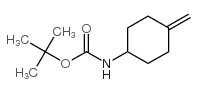 N-(4-亚甲基环己基)氨基甲酸叔丁酯结构式
