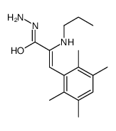 (Z)-2-(propylamino)-3-(2,3,5,6-tetramethylphenyl)prop-2-enehydrazide结构式