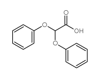 Acetic acid,2,2-diphenoxy-结构式