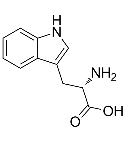 L-色氨酸结构式