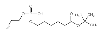 6-[O-(2-溴乙基)磷酰基)羟基己酸叔丁酯结构式
