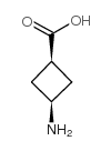 顺式-3-氨基环丁基甲酸结构式