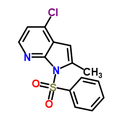 1H-Pyrrolo[2,3-b]pyridine, 4-chloro-2-Methyl-1-(phenylsulfonyl)-结构式