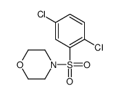 4-(2,5-dichlorophenyl)sulfonylmorpholine结构式