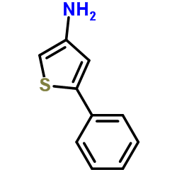 5-phenylthiophen-3-amine结构式