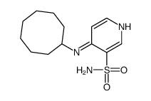 4-(cyclooctylamino)pyridine-3-sulfonamide结构式