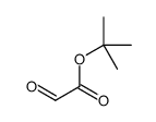 tert-butyl 2-oxoacetate结构式