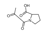 1-(1,2-二氧代丙基)-s-脯氨酸结构式