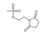 2-(2,5-dioxopyrrolidin-1-yl)ethyl methanesulfonate结构式