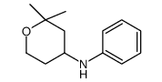 2,2-dimethyl-N-phenyloxan-4-amine结构式