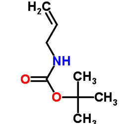 叔丁氧基 N-氨基甲酸丙烯结构式