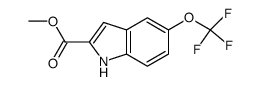 methyl 5-trifluoromethoxyindole-2-carboxylate结构式
