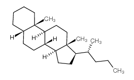 5BETA(H)-CHOLANE结构式