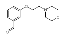 3-(2-吗啉-4-乙氧基)苯甲醛结构式