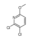 2,3-二氯-6-甲氧基吡啶结构式