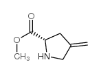 L-Proline, 4-methylene-, methyl ester (9CI)结构式
