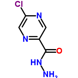 5-氯吡嗪-2-羧酸肼结构式