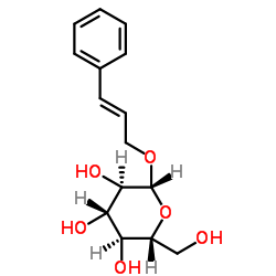 络缌结构式
