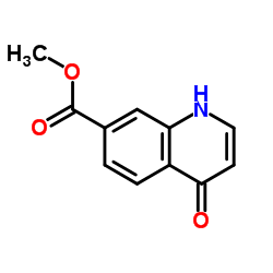 4-氧代-1,4-二氢-喹啉-7-羧酸甲酯结构式
