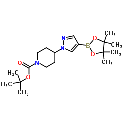 4-[4-(4,4,5,5-四甲基-1,3,2-二氧杂环戊硼烷-2-基)-1H-吡唑-1-基]哌啶-1-甲酸叔丁酯结构式
