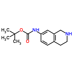 1,2,3,4-四氢异喹啉-7-氨基甲酸叔丁酯结构式