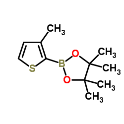3-甲基噻吩-2-硼酸频哪醇酯结构式