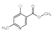 4-氯-6-甲基烟酸甲酯结构式