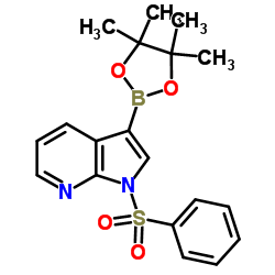 1-苯磺酰基吡咯并吡啶-3-硼酸酯结构式