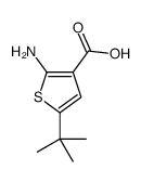 2-amino-5-tert-butylthiophene-3-carboxylic acid结构式