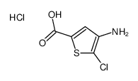 4-amino-5-chlorothiophene-2-carboxylic acid,hydrochloride结构式