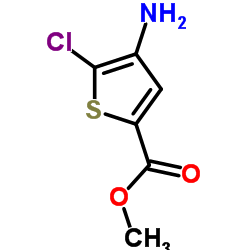 4-氨基-5-氯噻吩-2-甲酸甲酯结构式