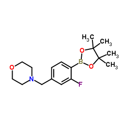 2-氟-4-(吗啉代甲基)苯基硼酸盐酸盐结构式