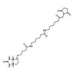 联锡酰氨基己酰-6-氨基己酸N-羟基琥珀酰亚胺酯结构式
