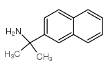 2-(萘-2-基)-2-丙胺结构式