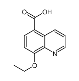 5-Quinolinecarboxylicacid,8-ethoxy-(7CI)结构式