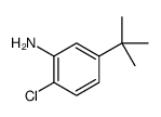5-tert-butyl-2-chloroaniline结构式