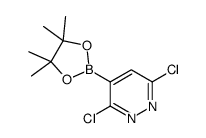 3,6-二氯-4-(4,4,5,5-四甲基-1,3,2-二氧杂硼烷-2-基)哒嗪结构式