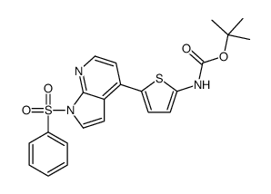 2-Methyl-2-propanyl {5-[1-(phenylsulfonyl)-1H-pyrrolo[2,3-b]pyrid in-4-yl]-2-thienyl}carbamate结构式