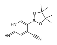 2-氨基-4-氰基吡啶-5-硼酸频那醇酯结构式