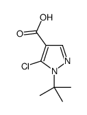 1-tert-butyl-5-chloropyrazole-4-carboxylic acid结构式
