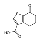 7-oxo-4,5,6,7-tetrahydro-1-benzothiophene-3-carboxylic acid(SALTDATA: FREE)结构式