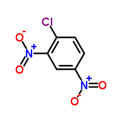1-氯-2,4-二硝基苯结构式